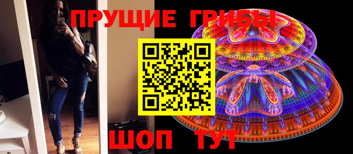 Псилоцибиновые грибы прущие грибы  Вход с VPN  Кубинка  Псилоцибиновые грибы Psilocybe 