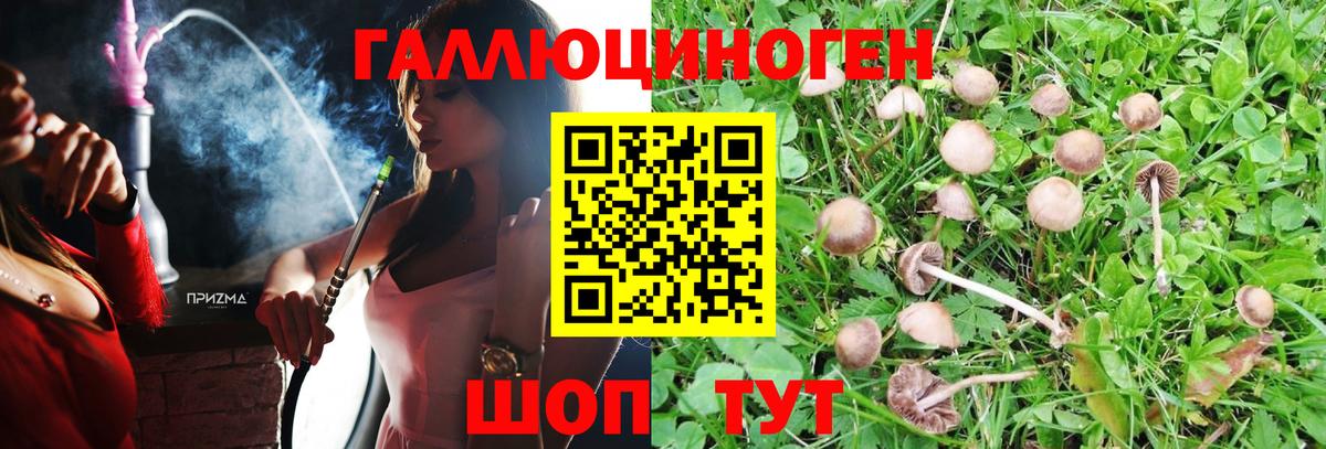 Галлюциногенные грибы GOLDEN TEACHER Кубинка